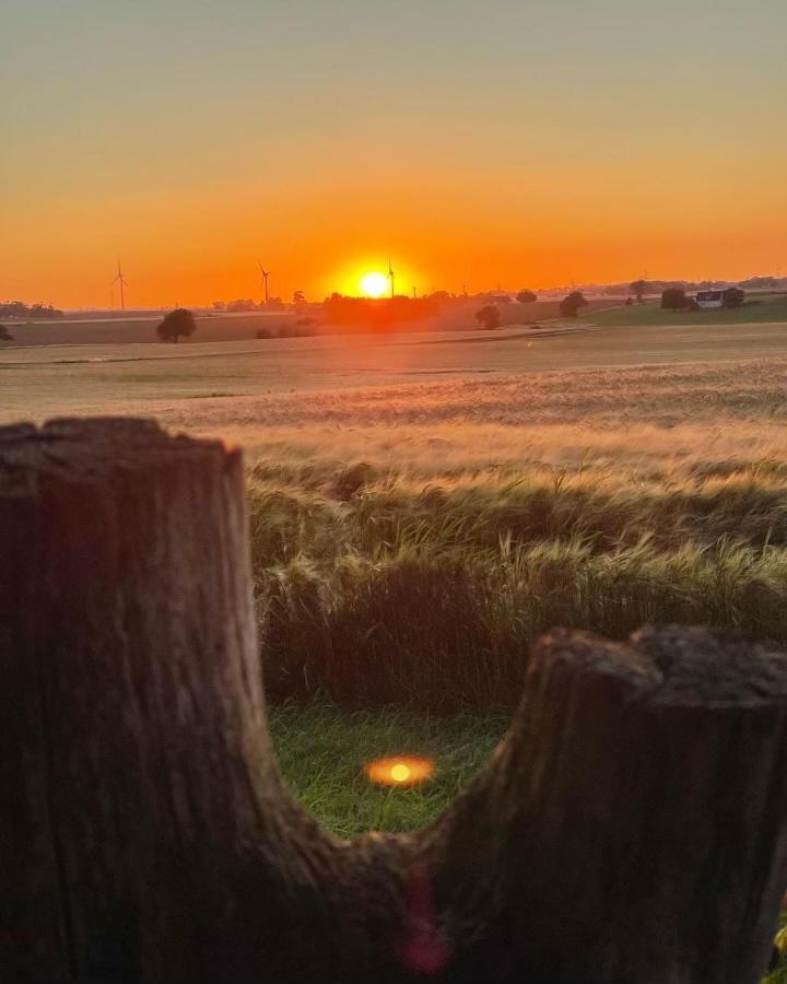 Hammenhoegs Gaestgivaregard Exteriér fotografie