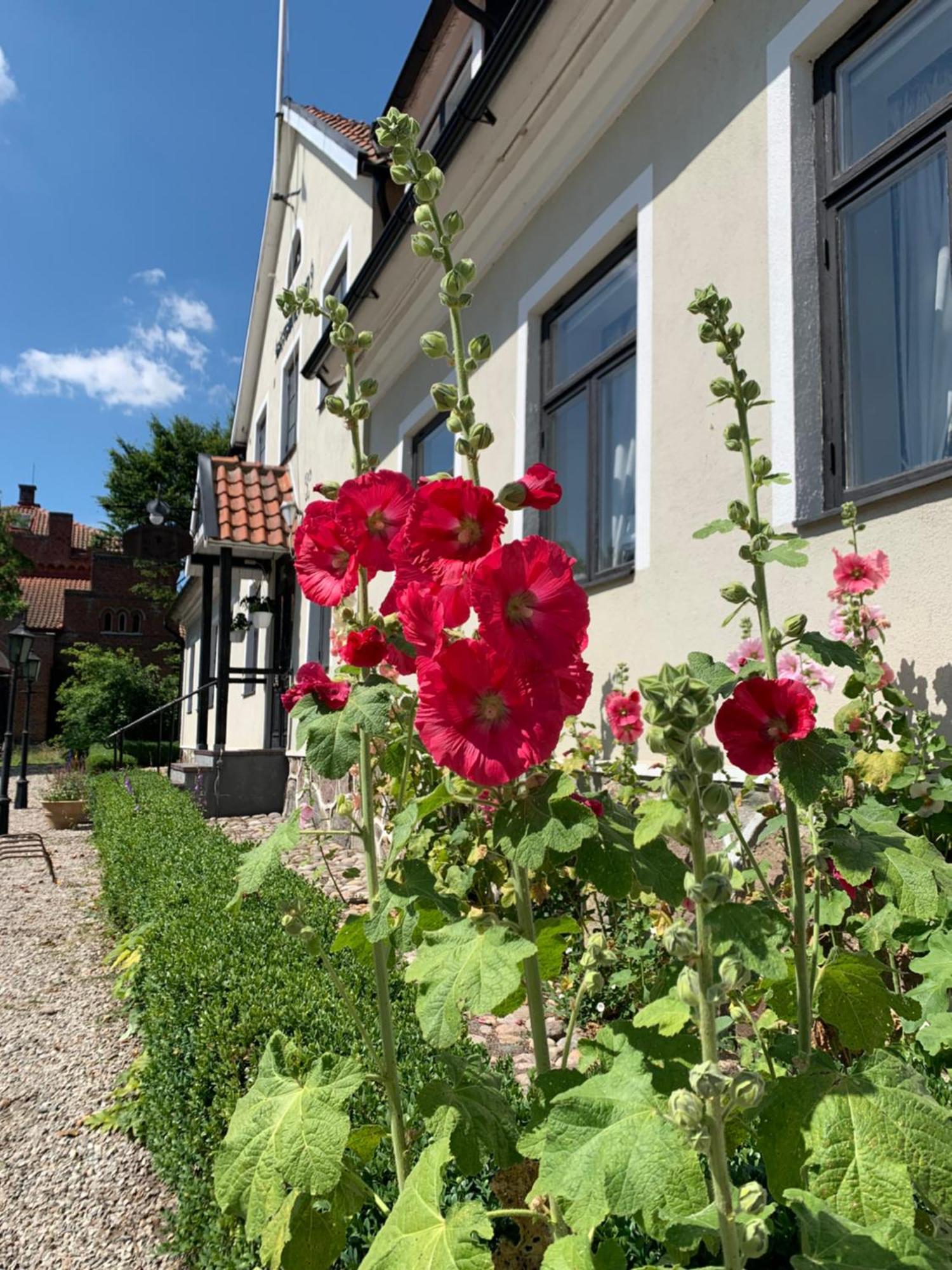 Hammenhoegs Gaestgivaregard Exteriér fotografie